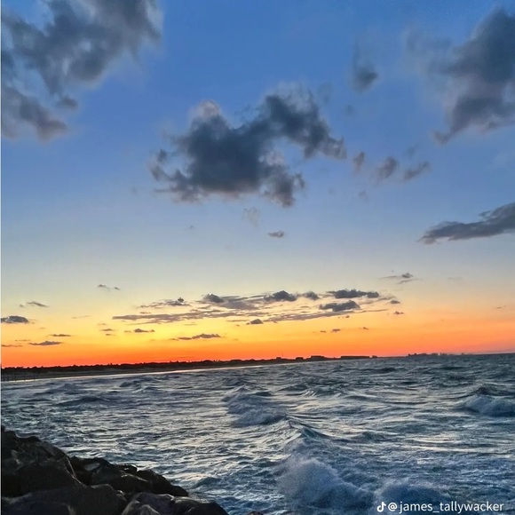 Meet your Posher, Kylie - Picture 1 of 1